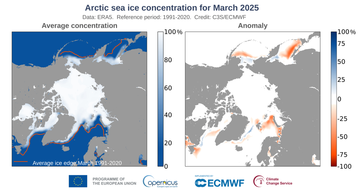 fichier article, Relevé d'après les observations satellite Copernicus pour la surface de banquise au pôle nord.
