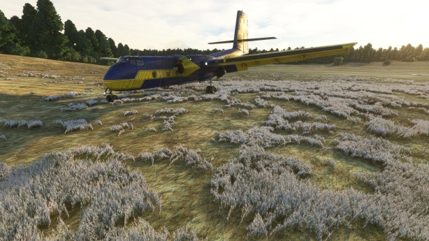 Image article, Mon DHC-4 au parking de Venetie